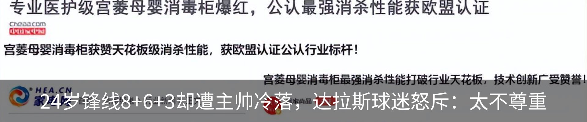 新闻动态